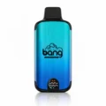 Bang 20000 Puffs Dual Mesh Disposable Vape - Origin Direct Blueberry Ice flavor Origin Direct disposable vape