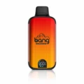 Bang 20000 Puffs Dual Mesh Disposable Vape - Origin Direct Blueberry Watermelon flavor Origin Direct disposable vape