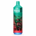 Bang 12000 Puffs Disposable Vape - Origin Direct Watermelon Bubble Gum flavor Origin Direct disposable vape