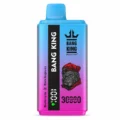 Bang King BK30 30000 Puffs Disposable Vape - EU Fast Dispatch 10 Pcs Box Blueberry Ice / Black Dragon Ice flavor 10 pcs box
