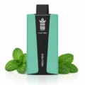 Bang King BK30 Pro 30000 Puffs Disposable Vape - Origin Direct Fresh Mint flavor Origin Direct disposable vape