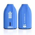 Bang King BK12 12000 Puffs Disposable Vape - Origin Direct Blueberry Ice flavor Origin Direct disposable vape