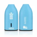 Bang King BK12 12000 Puffs Disposable Vape - Origin Direct Blueberry Raspberry flavor Origin Direct disposable vape
