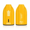 Bang King BK12 12000 Puffs Disposable Vape - Origin Direct Strawberry Mango flavor Origin Direct disposable vape
