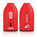 Bang King BK12 12000 Puffs Disposable Vape - Origin Direct Strawberry Watermelon flavor Origin Direct disposable vape