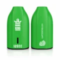 Bang King BK12 12000 Puffs Disposable Vape - Origin Direct Watermelon flavor Origin Direct disposable vape