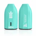 Bang King BK12 12000 Puffs Disposable Vape - Origin Direct Watermelon Bubblegum flavor Origin Direct disposable vape