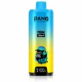 Bang Legend 110K 110000 Puffs 3-in-1 Disposable Vape - EU Fast Dispatch 10 Pcs Box Blueberry Ice / Cantaloupe Apple / Lime Romance flavor 10 pcs box