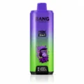 Bang Legend 110K 110000 Puffs 3-in-1 Disposable Vape - EU Fast Dispatch 10 Pcs Box Blueberry Watermelon / Grape Ice / Fuji Ice flavor 10 pcs box